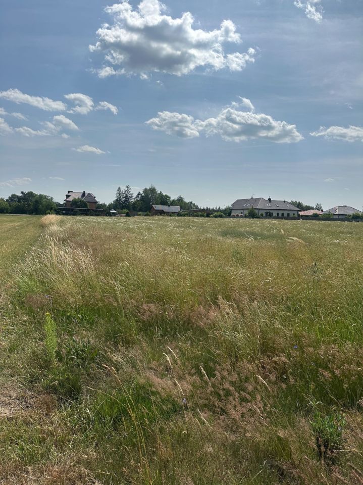 Działka budowlana Rokiciny-Kolonia, ul. Łódzka. Zdjęcie 5