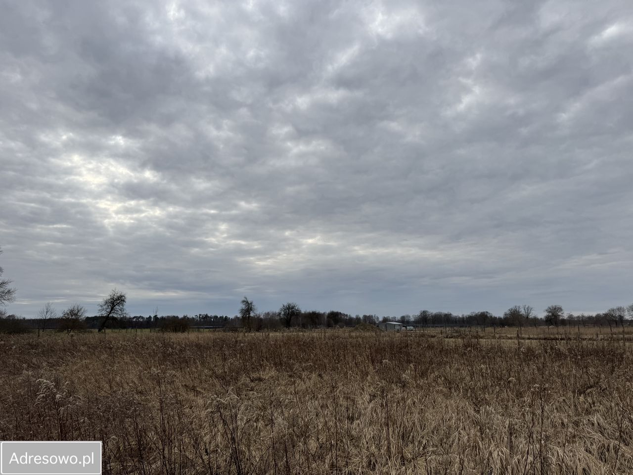 Działka budowlana Dębnik. Zdjęcie 6