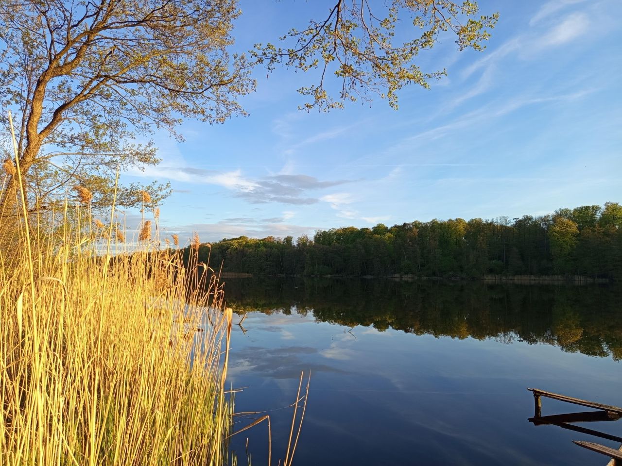 Działka budowlana Lutom, Lutom. Zdjęcie 4
