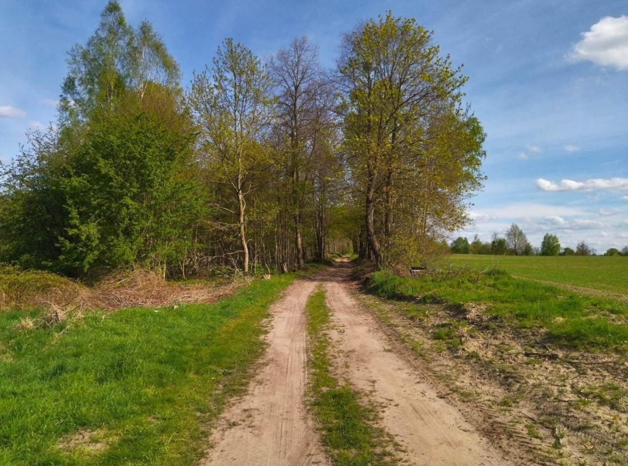 Działka rolna Wielimowo. Zdjęcie 4