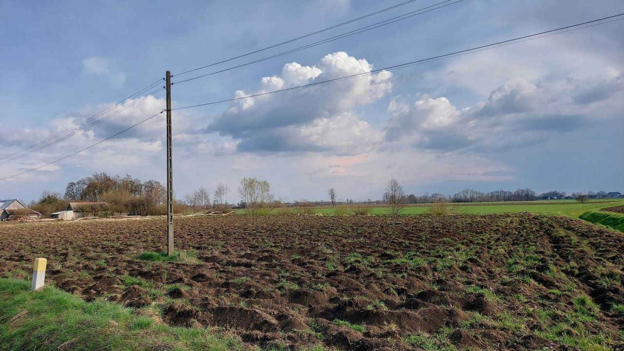 Działka rolno-budowlana Niwki. Zdjęcie 3