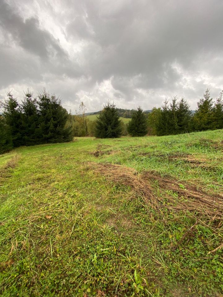 Działka rolno-budowlana Hoczew. Zdjęcie 6