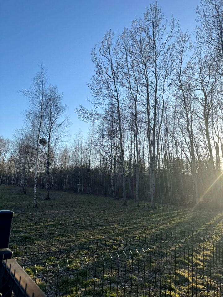 Działka budowlana Czarnów, ul. Spacerowa. Zdjęcie 2