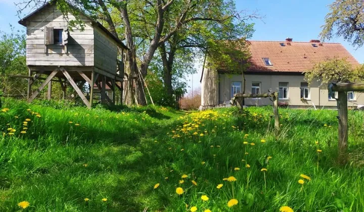 dom wolnostojący, 8 pokoi Sarbinowo