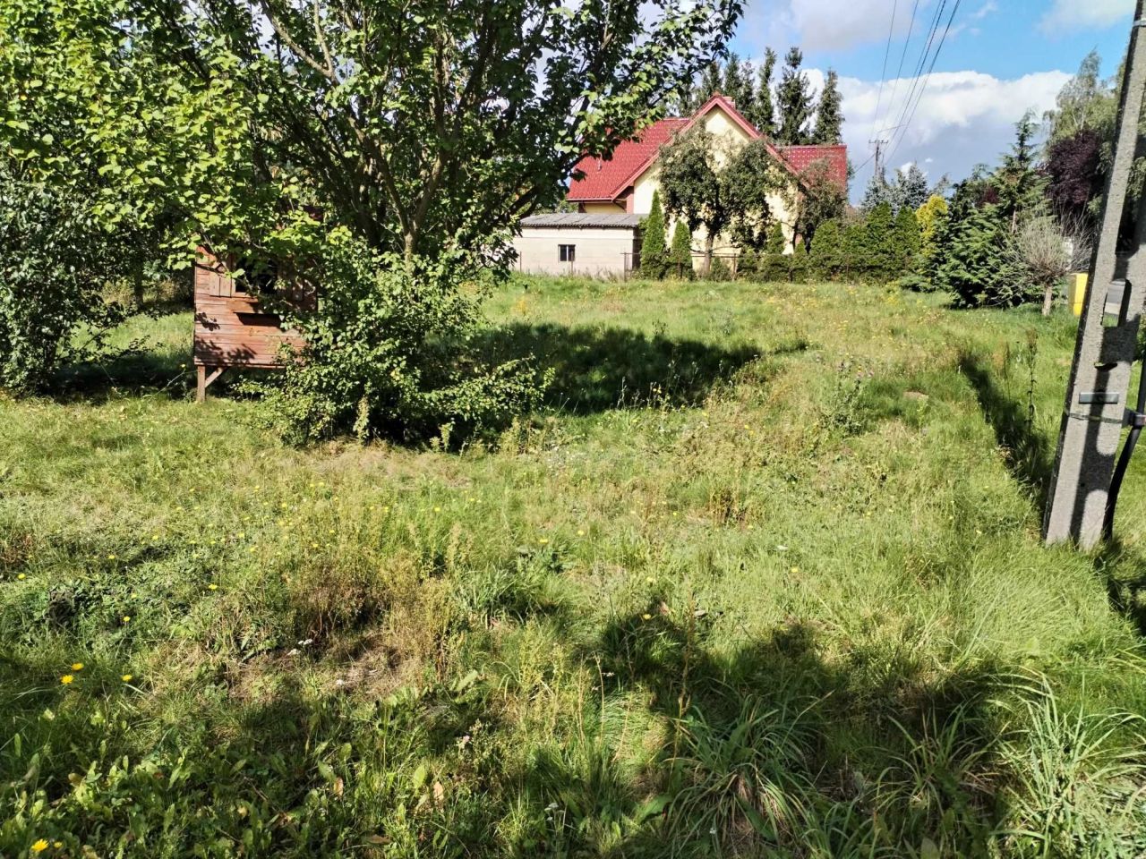 Działka Tłuchowo, ul. Leśna