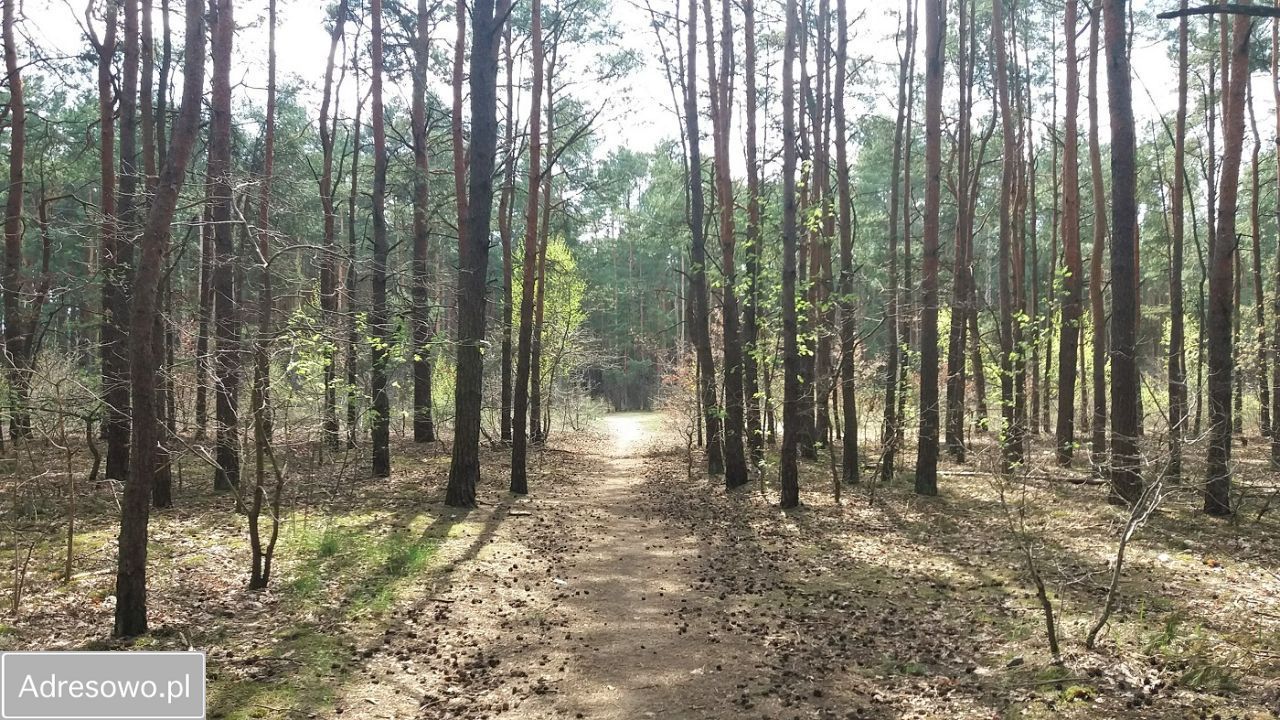 Działka budowlana Sulejówek Ratajewo. Zdjęcie 4