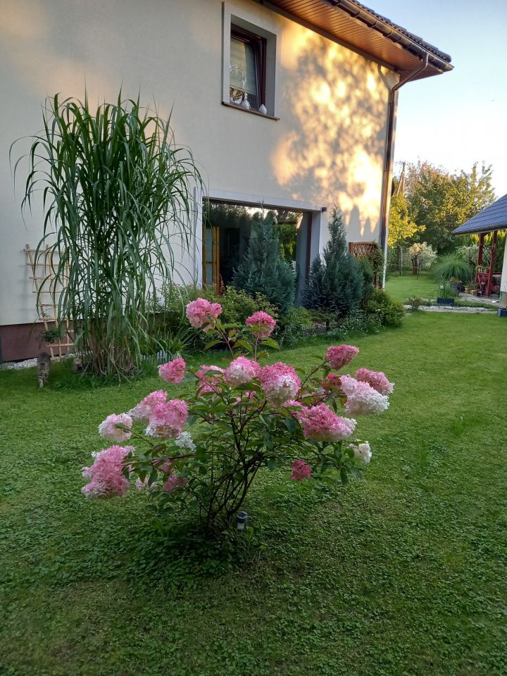 dom wolnostojący, 5 pokoi Gorlice Zawodzie. Zdjęcie 40