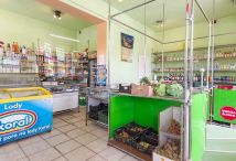 Lokal Elbląg, ul. Grobla Świętego Jerzego. Zdjęcie 1