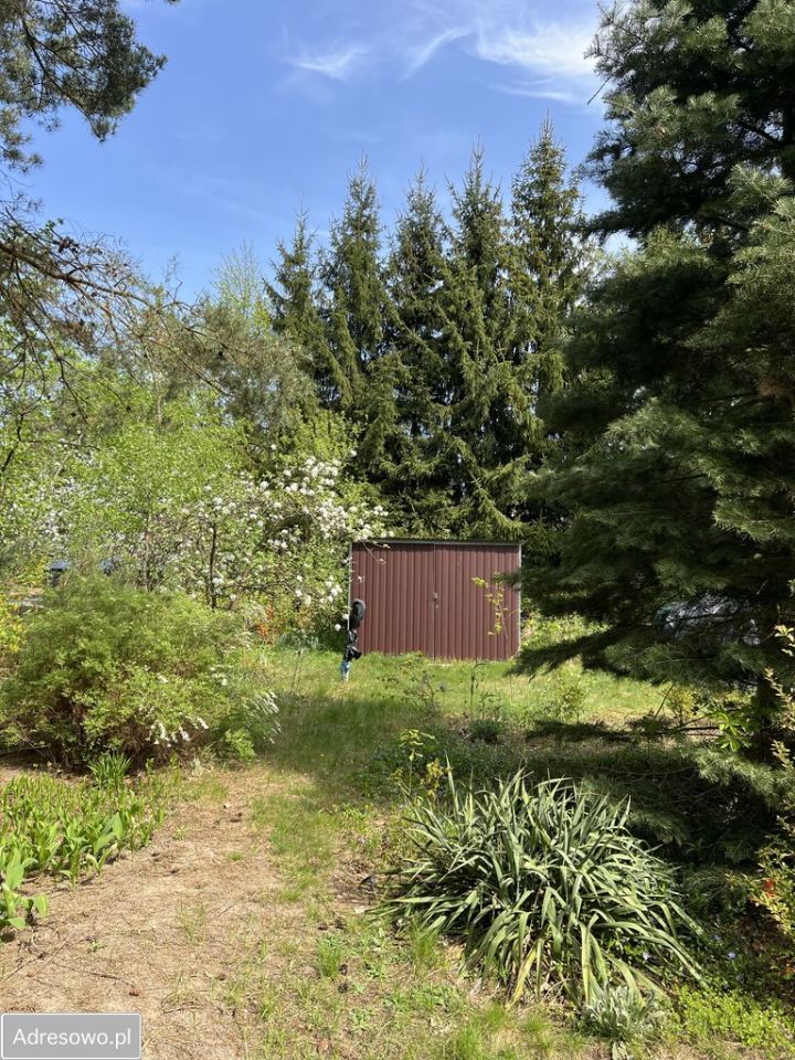 Działka rekreacyjna Rogóźno. Zdjęcie 6