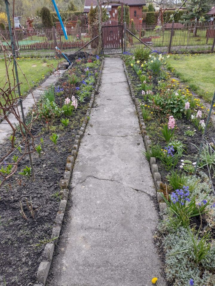 Działka rekreacyjna Zabrze Guido, Os. Janek. Zdjęcie 6