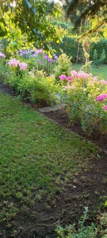 Działka rod Łódź Retkinia, ul. ks. Jerzego Popiełuszki. Zdjęcie 1