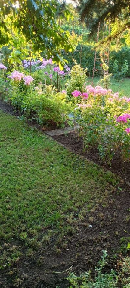 Działka rod Łódź Retkinia, ul. ks. Jerzego Popiełuszki. Zdjęcie 1