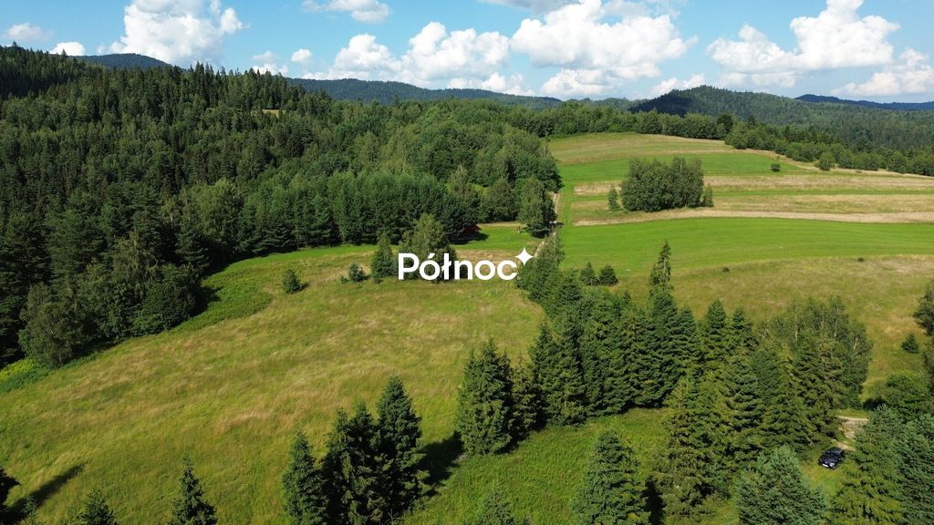 Działka rolna Łopuszna. Zdjęcie 3