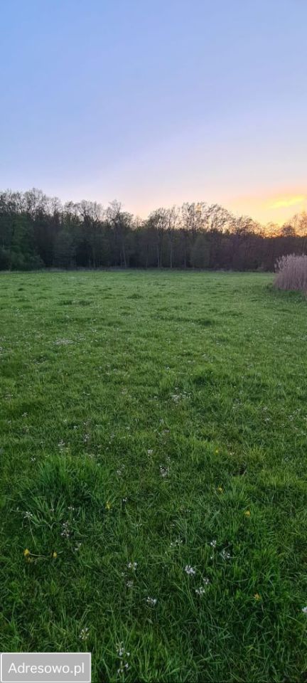 Działka rekreacyjna Ziemiary