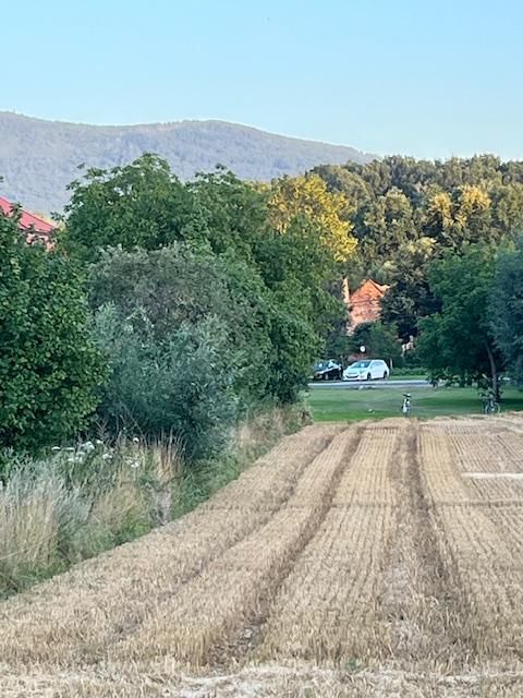 Działka budowlana Strzelce. Zdjęcie 4