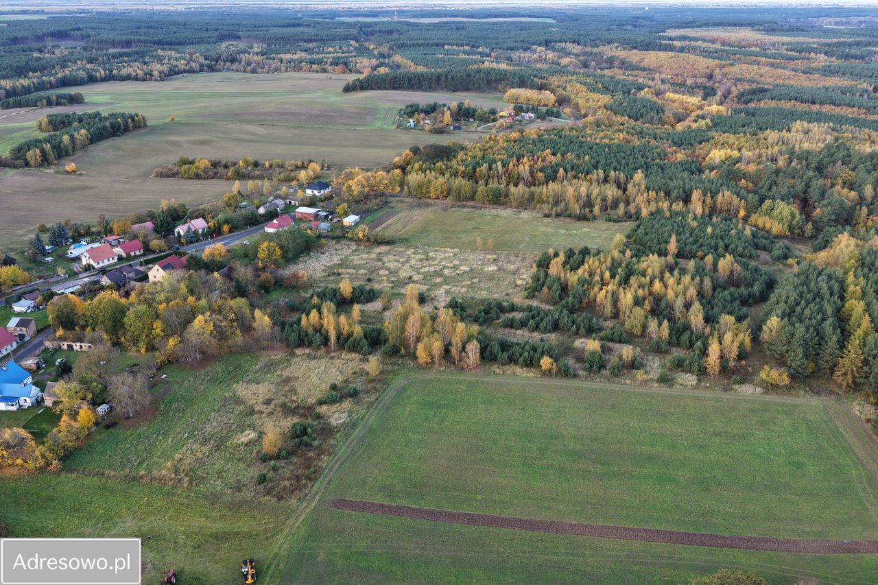 Działka inwestycyjna Gronów. Zdjęcie 5