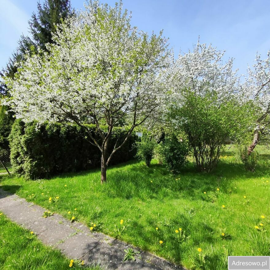 Działka rod Zabierzów. Zdjęcie 6