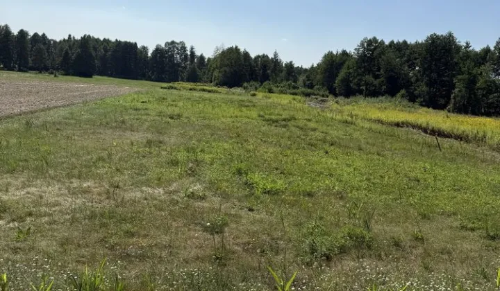 Działka rolna Szczepanek