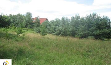 Działka Chełmce