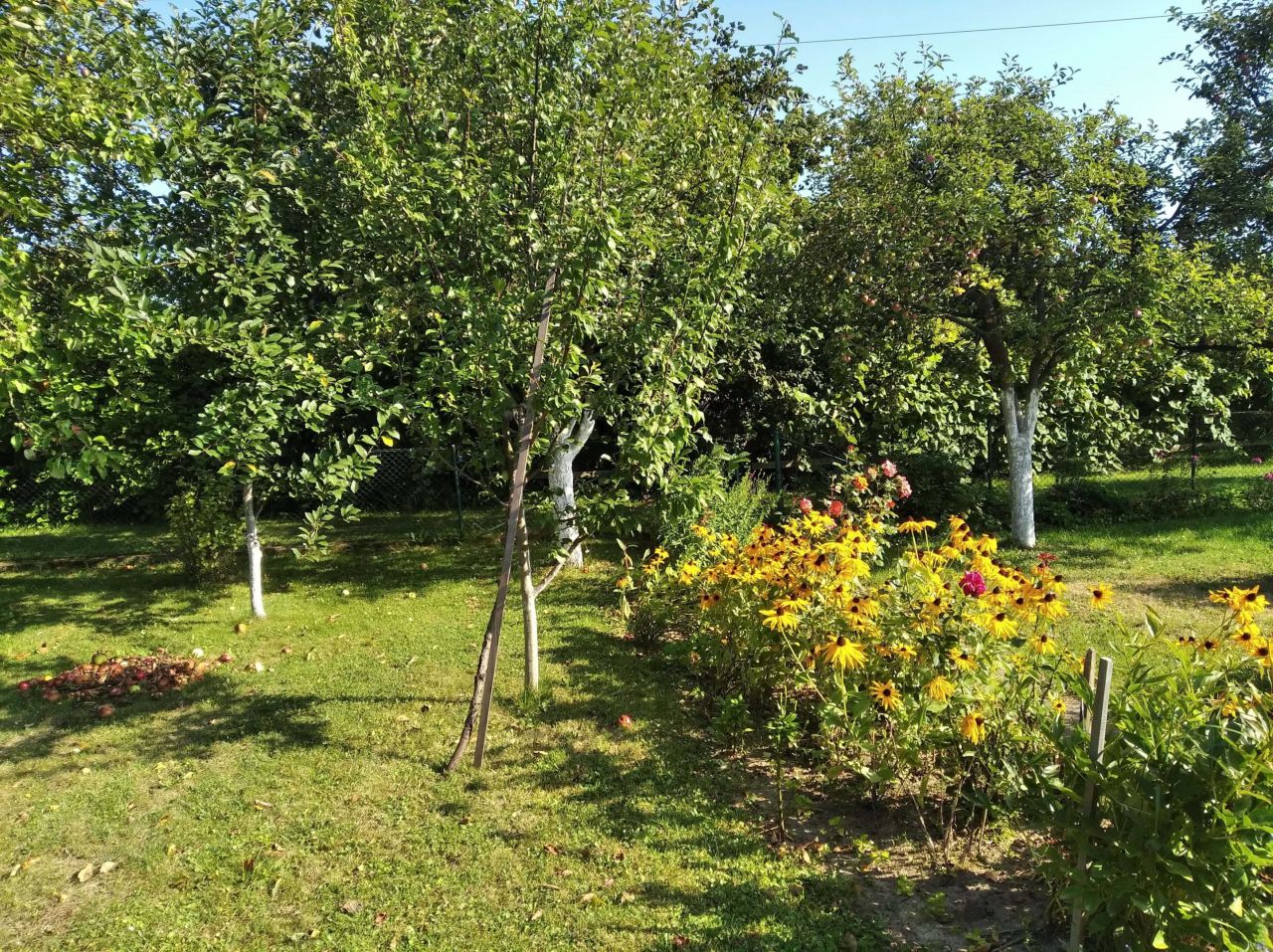 Działka rod Racibórz, ul. Opawska. Zdjęcie 8