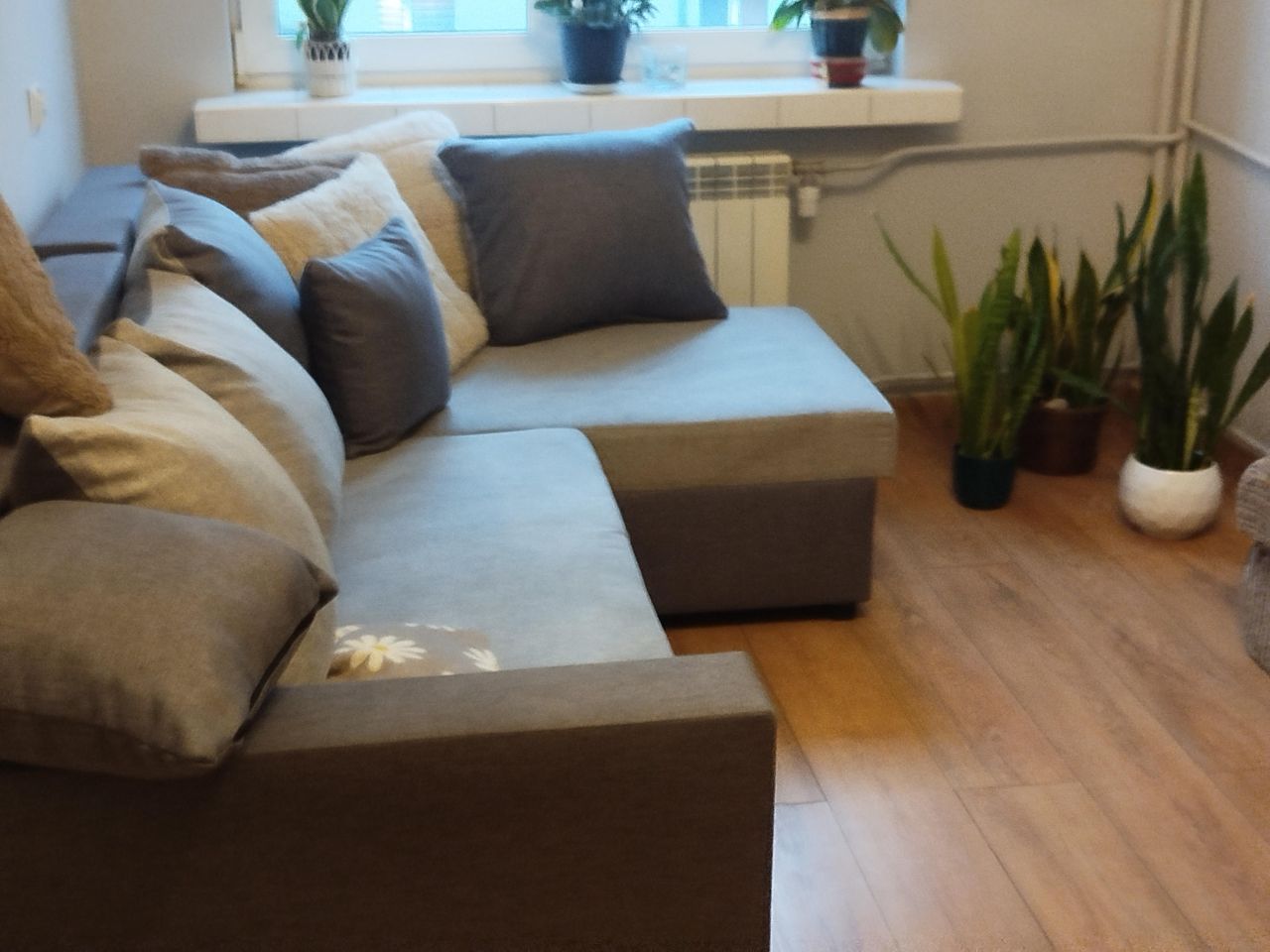 Mieszkanie 2-pokojowe Ełk, ul. Jarosława Dąbrowskiego. Zdjęcie 2