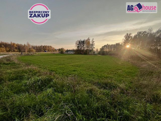 Działka inwestycyjna Pomlewo, ul. Kasztanowa. Zdjęcie 1