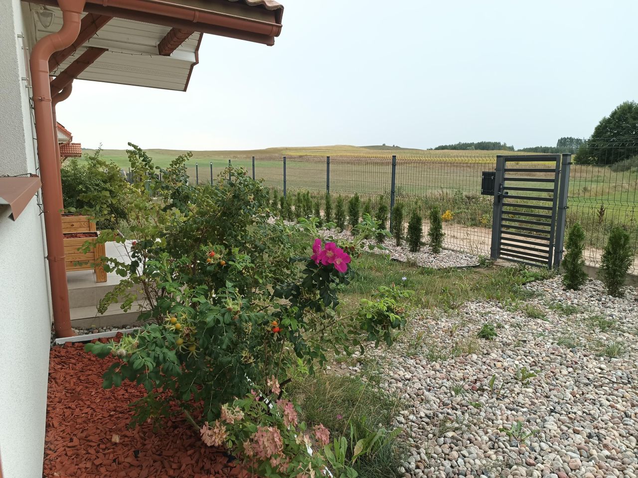 dom wolnostojący, 5 pokoi Studzianki. Zdjęcie 3