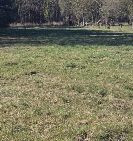 Działka budowlana Wołomin Mironowe Górki. Zdjęcie 4