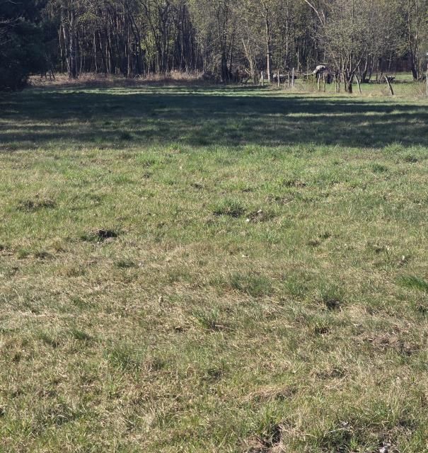 Działka budowlana Wołomin Mironowe Górki. Zdjęcie 4