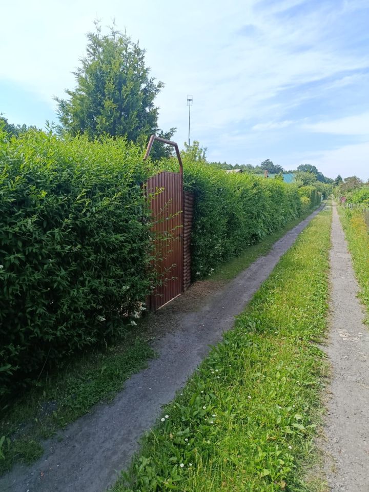 Działka rod Zimowiska. Zdjęcie 26