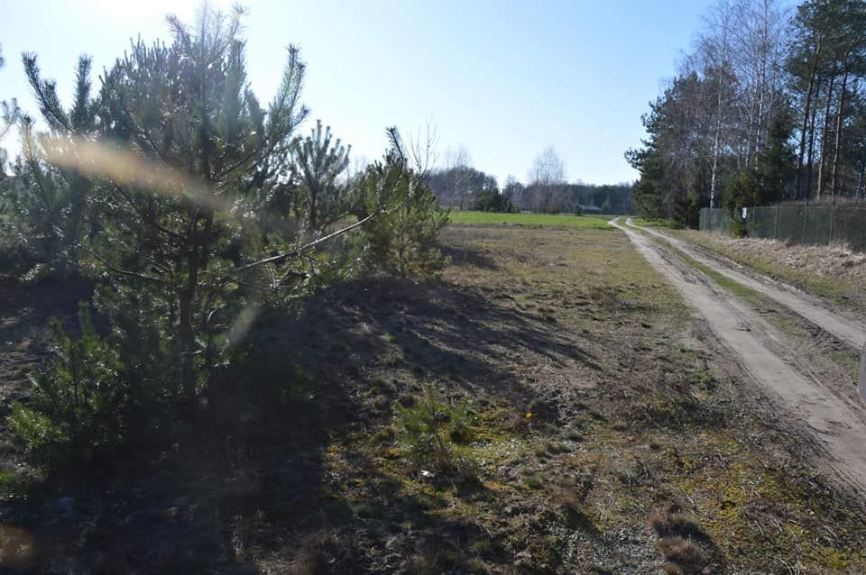 Działka budowlana Gąsiorowo. Zdjęcie 4