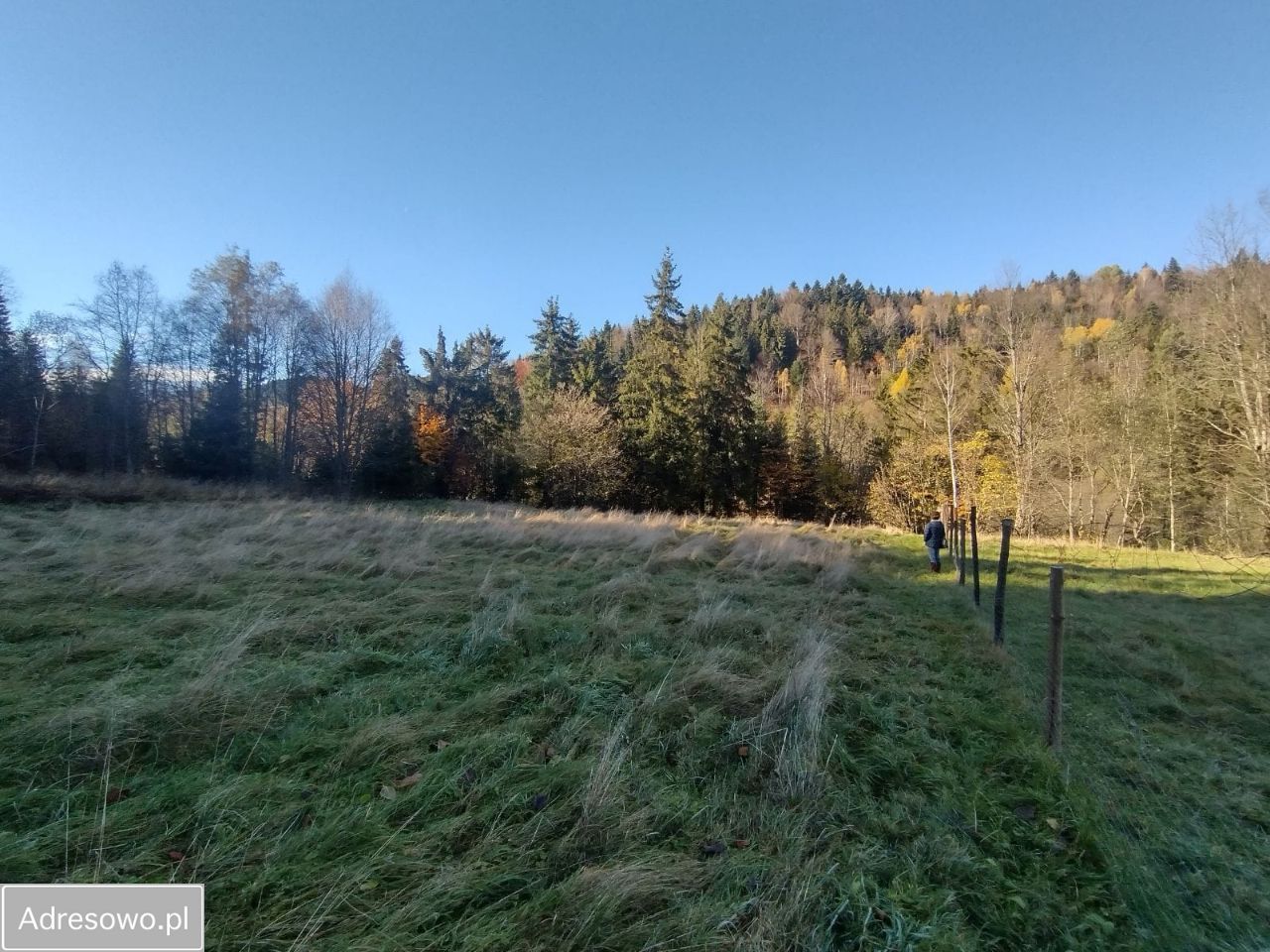 Działka rekreacyjna Szczawa. Zdjęcie 11