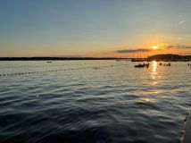 Działka budowlana Kuźnica Głogowska. Zdjęcie 1