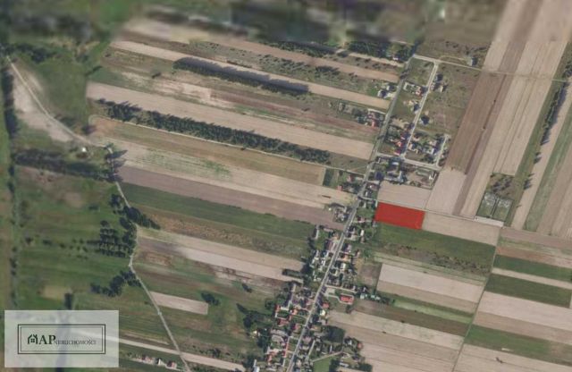 Działka rolna Kuny. Zdjęcie 3