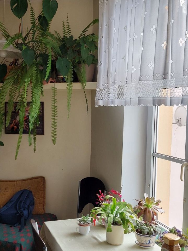 Mieszkanie 3-pokojowe Kętrzyn. Zdjęcie 6