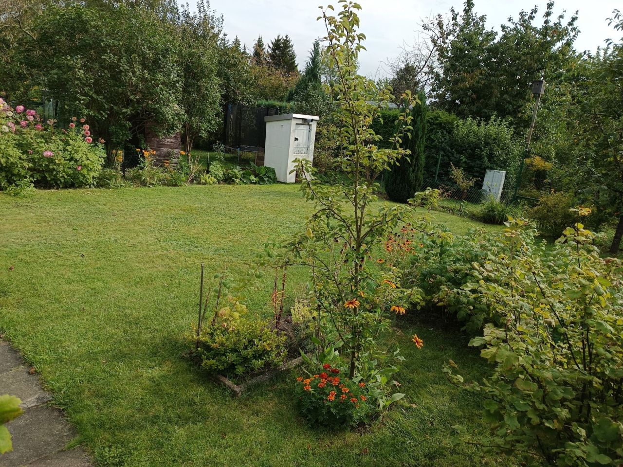 Działka rod Koszalin, ul. Wojska Polskiego. Zdjęcie 3