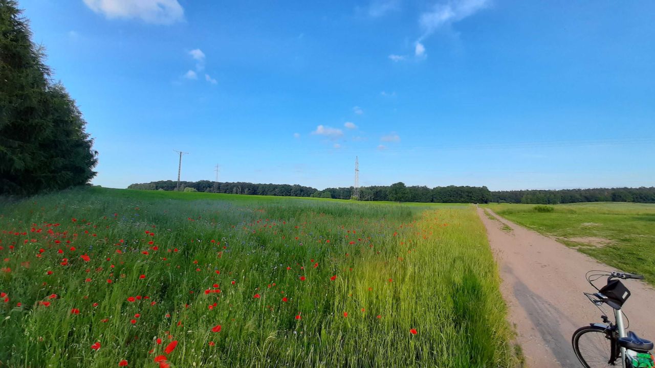 Działka budowlana Szeplerzyzna. Zdjęcie 7