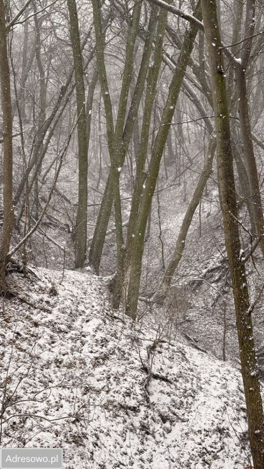 Działka budowlana Ostromecko. Zdjęcie 10