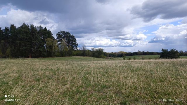Działka rolno-budowlana Trelkowo. Zdjęcie 1