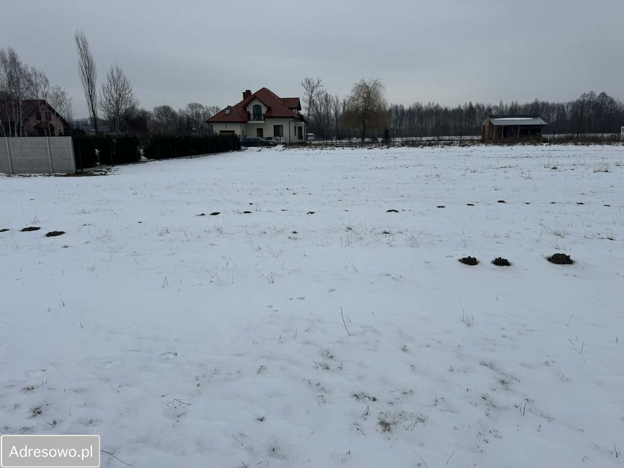 Działka rolno-budowlana Aleksandria. Zdjęcie 7