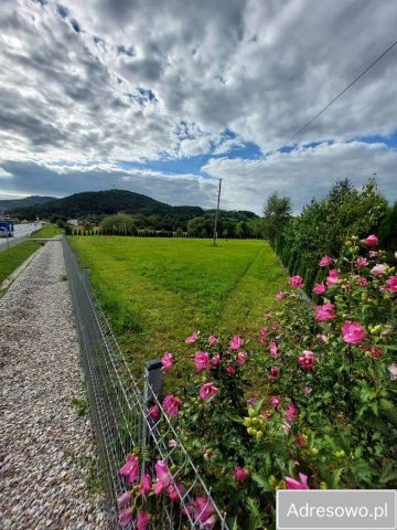 Działka inwestycyjna Dąbrowa. Zdjęcie 1