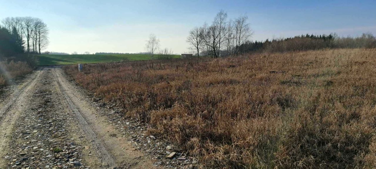 Działka budowlana Sędki. Zdjęcie 5