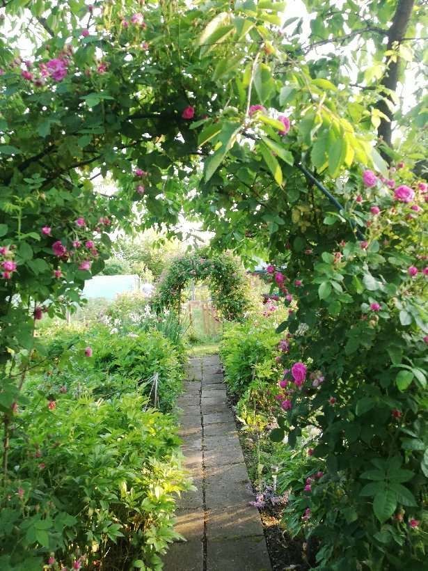 Działka rod Lublin, ul. Wapienna. Zdjęcie 8