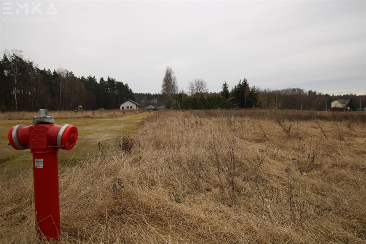 Działka Branica. Zdjęcie 5