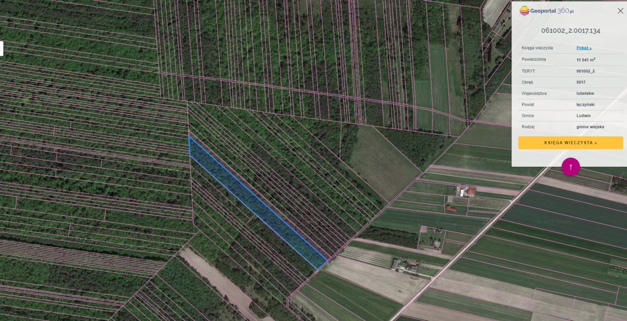 Działka leśna Stary Radzic. Zdjęcie 2