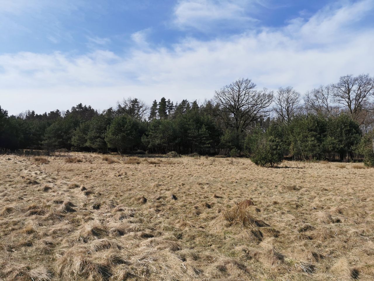 Działka budowlana Kalety Truszczyca, ul. Dębowa