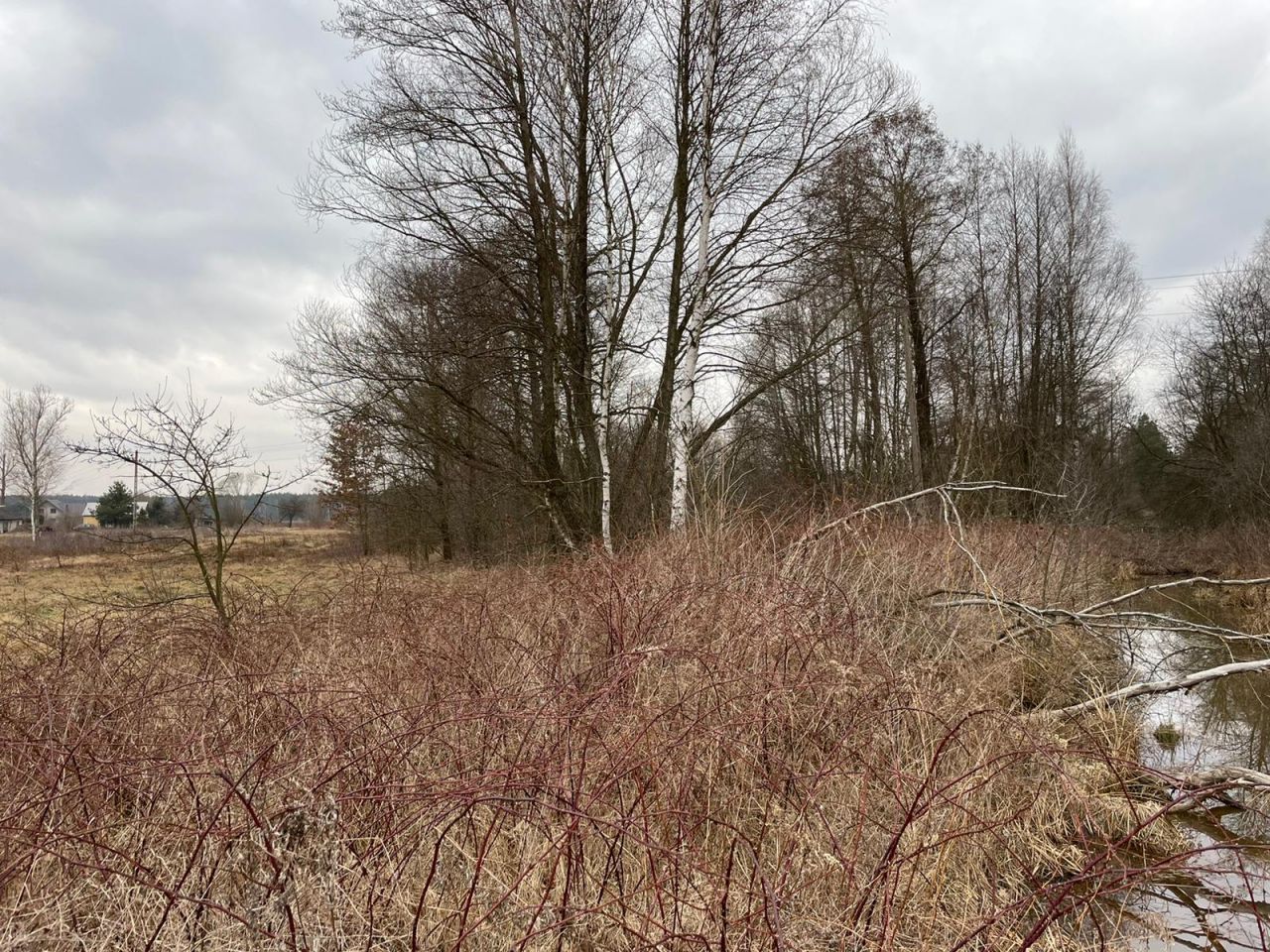 Działka rolno-budowlana Tomczyn Stare Cychry. Zdjęcie 6