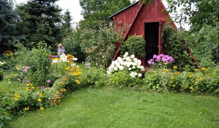 Działka rod Toruń Rudak