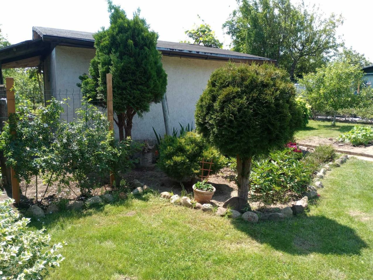 Działka rod Gorzów Wielkopolski. Zdjęcie 3