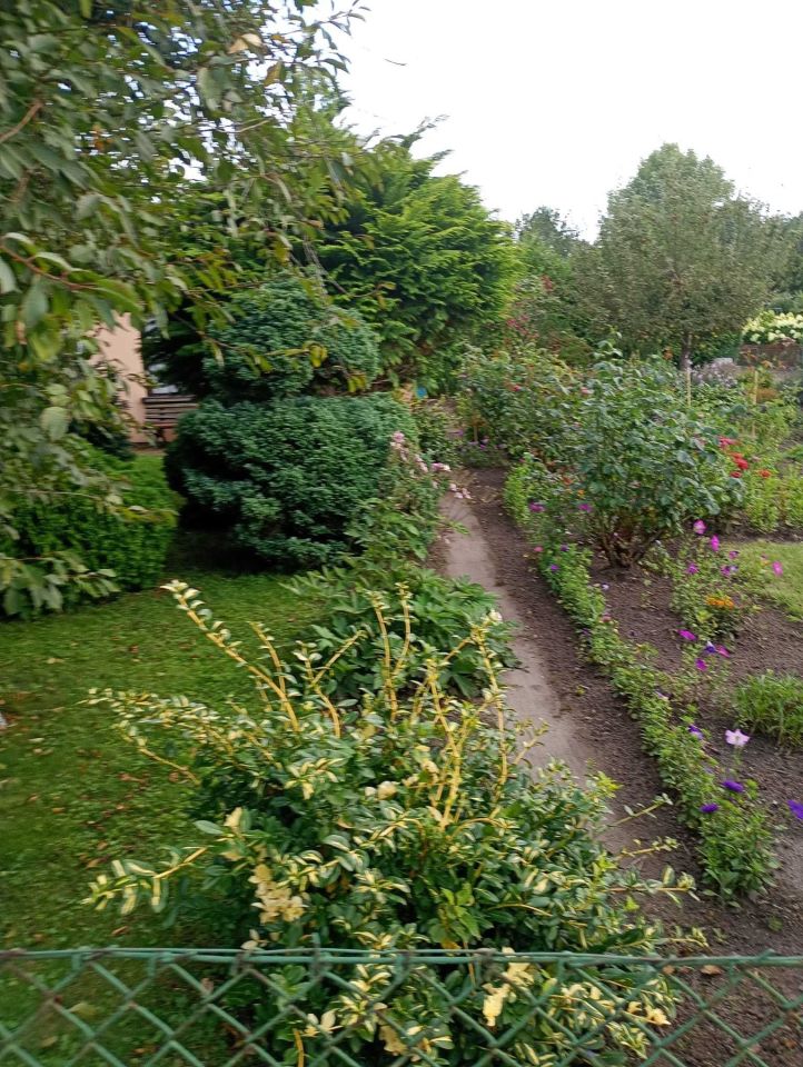 Działka rod Żnin. Zdjęcie 8